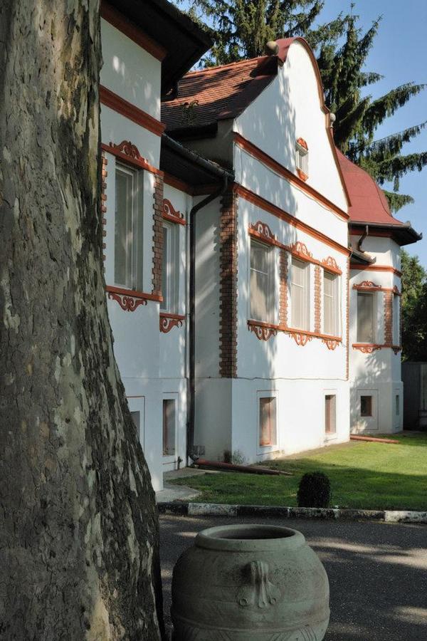Kastelyszallo Mateszalka Bed and Breakfast Zewnętrze zdjęcie